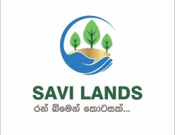 Savi Lands